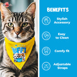 PawsIndia Cat Bandana - Cute From All Angles