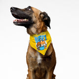 PawsIndia Dog Bandana - BFF