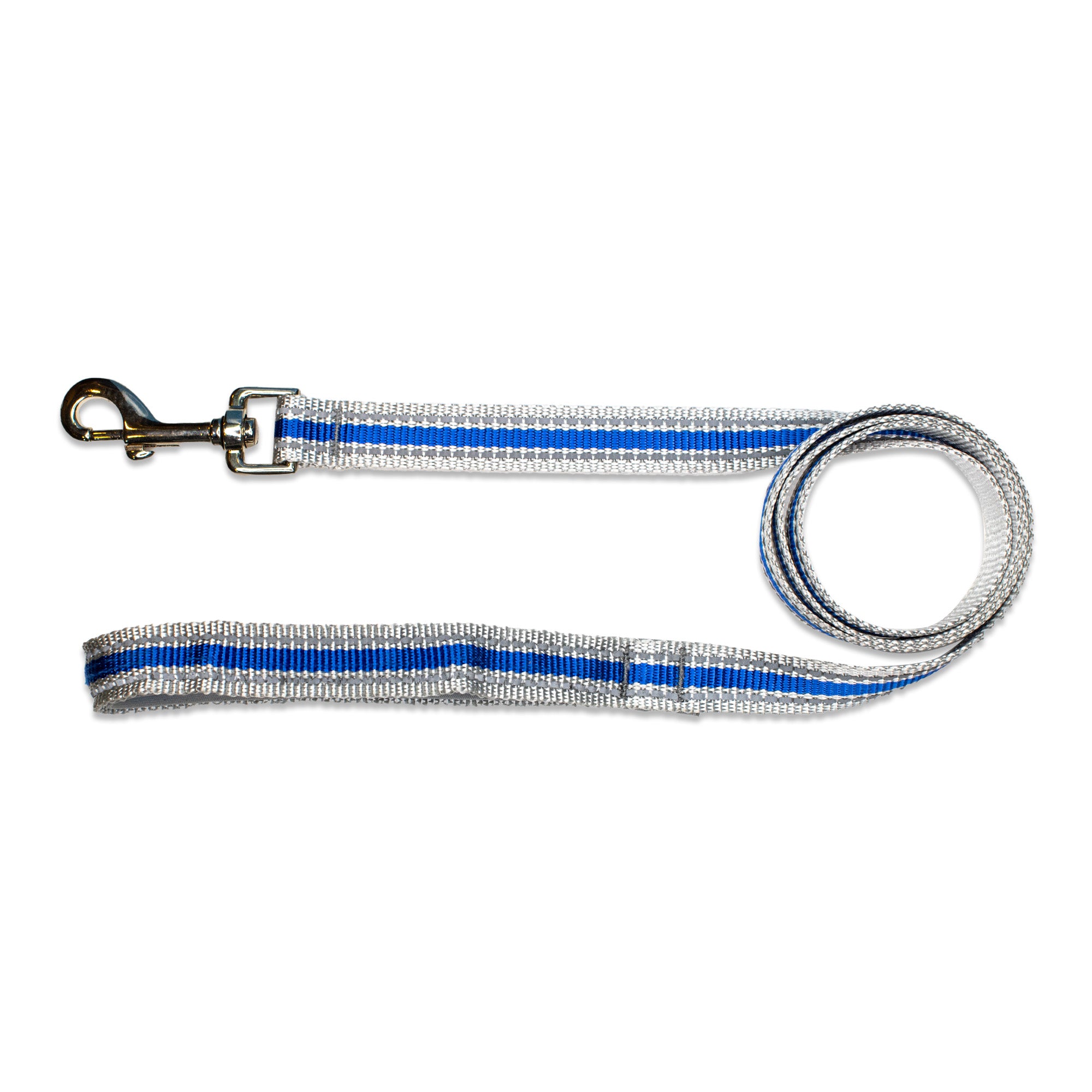 Pawsindia Reflective Nylon Leash for Dogs with a Padded Handle - Blue