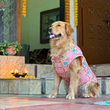 Pawsindia Traditional Nawabi Pink Embroidered Kurta for Dogs | Ethnic Festive Wear