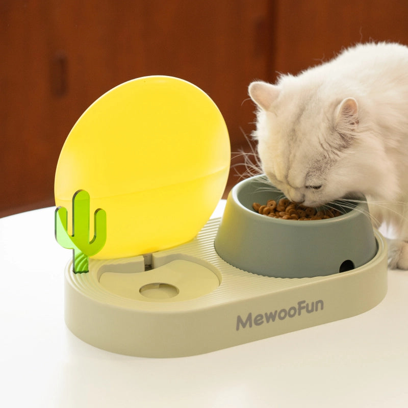 Auto feeding cat bowl deals