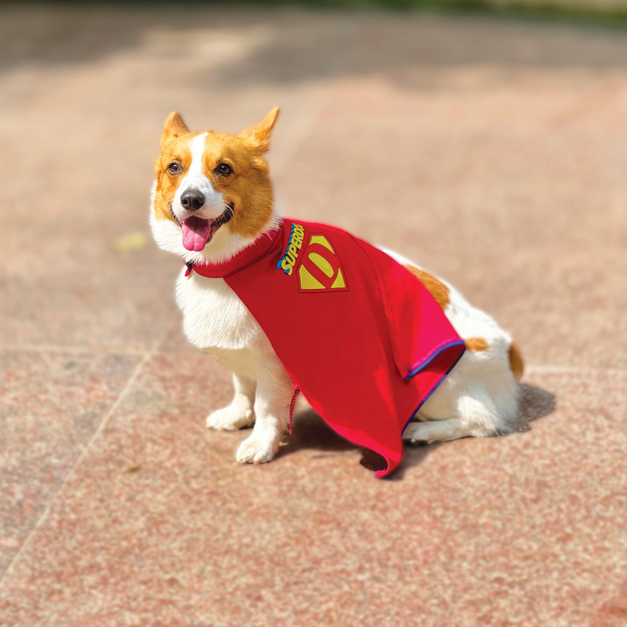 SUPERDOG Dog Cape