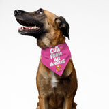 PawsIndia Dog Bandana - Cute From All Angles