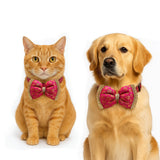 Pawsindia Traditional Royal Brocade Bow Tie - Pink