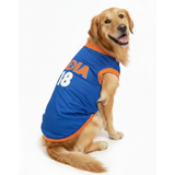Pawsindia Dog Indian Cricket Jersey Round Neck