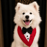 PawsIndia Red & White Tuxedo Bandana With Black Bow For Pets