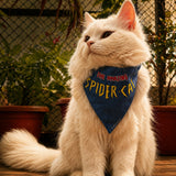 PawsIndia Cat Bandana - Spider Cat