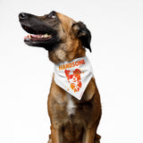 PawsIndia Dog Bandana - Handsome