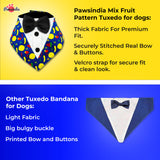 PawsIndia Mix-Fruits Pattern Tuxedo Bandana With Black Bow For Pets
