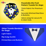 PawsIndia Mix-Fruits Pattern Tuxedo Bandana With Matching Bow For Dogs & Cats