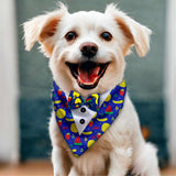 PawsIndia Mix-Fruits Pattern Tuxedo Bandana With Matching Bow For Pets