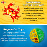Pawsindia Catnip Aromatherapy Crab Toy
