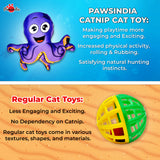 Pawsindia Catnip Aromatherapy Octopus Toy