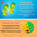Pawsindia Catnip Aromatherapy Seahorse Toy