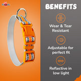 Pawsindia Reflective Nylon Collar for Small Dogs - Orange