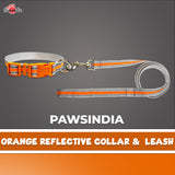 Pawsindia Reflective Nylon Collar & Leash set for Small Dogs - Orange