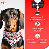 PawsIndia Strawberry  Pattern Tuxedo Bandana With Matching Bow For Pets