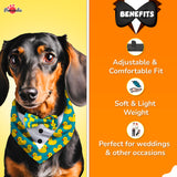 PawsIndia Duck Pattern Tuxedo Bandana With Matching Bow For Pets