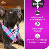 PawsIndia Colorful Pattern Tuxedo Bandana With Matching Bow For Pets