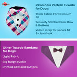 PawsIndia Colorful Pattern Tuxedo Bandana With Matching Bow For Pets