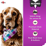 PawsIndia Colorful Pattern Tuxedo Bandana With Matching Bow For Pets