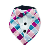 PawsIndia Colorful Pattern Tuxedo Bandana With Matching Bow For Pets