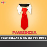 PawsIndia Posh Collar & Tie Set For Dogs