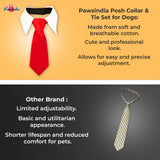 PawsIndia Posh Collar & Tie Set For Dogs