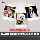 PawsIndia Black & White Tuxedo Bandana With Red Bow For Dogs