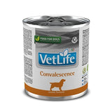Vetlife Convalescence Wet Dog Food, 300Gm