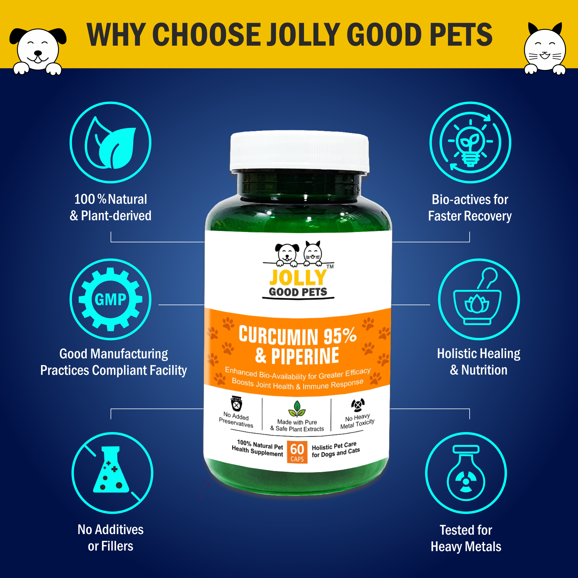 Curcumin with Piperine (Black Pepper) Joint Support Supplement for Dogs & Cats I 60 Capsules