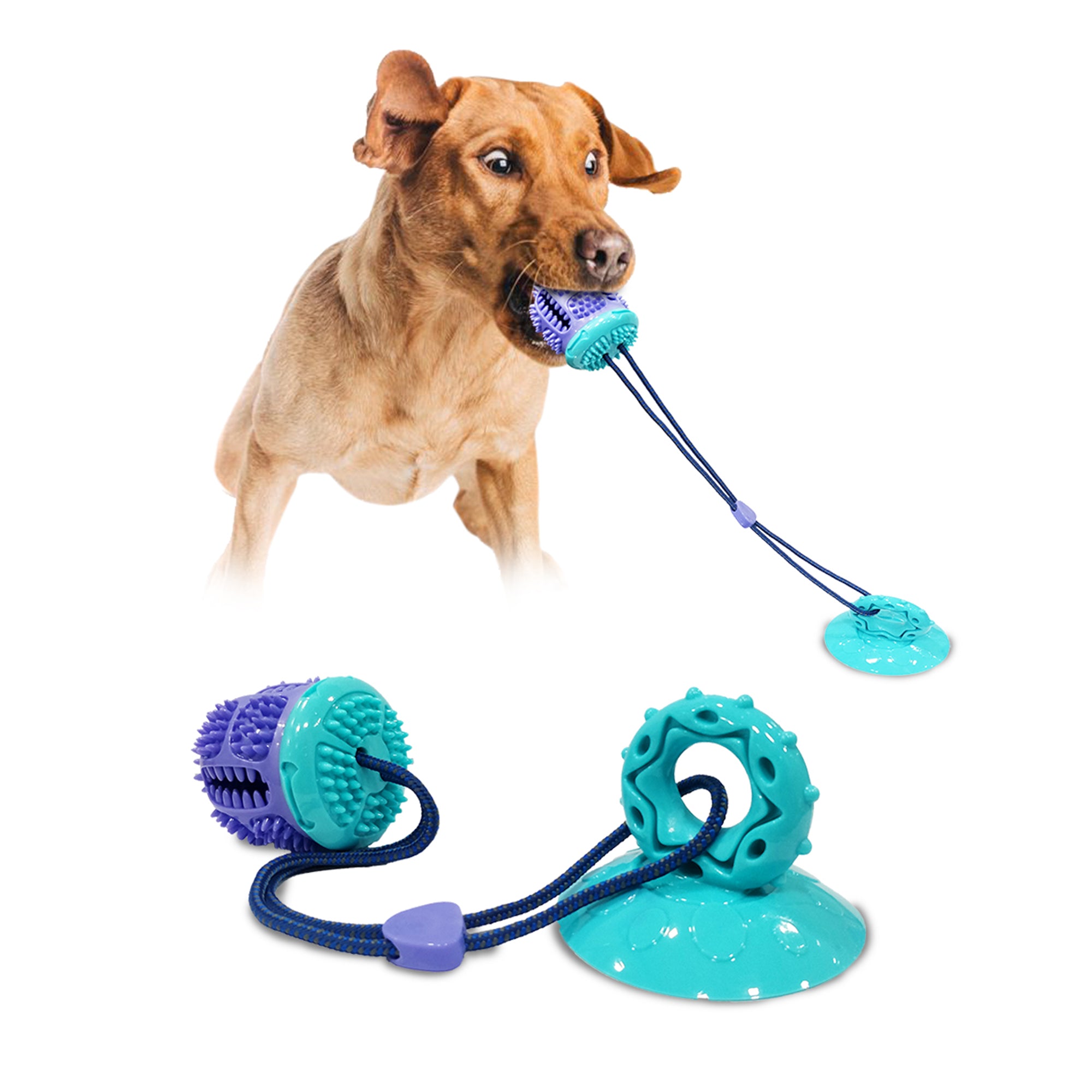 Training toys for dogs – Pawsindia