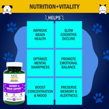 Jolly Good Pets Memory & Brain Support Supplement for Dogs & Cats I 60 Capsules