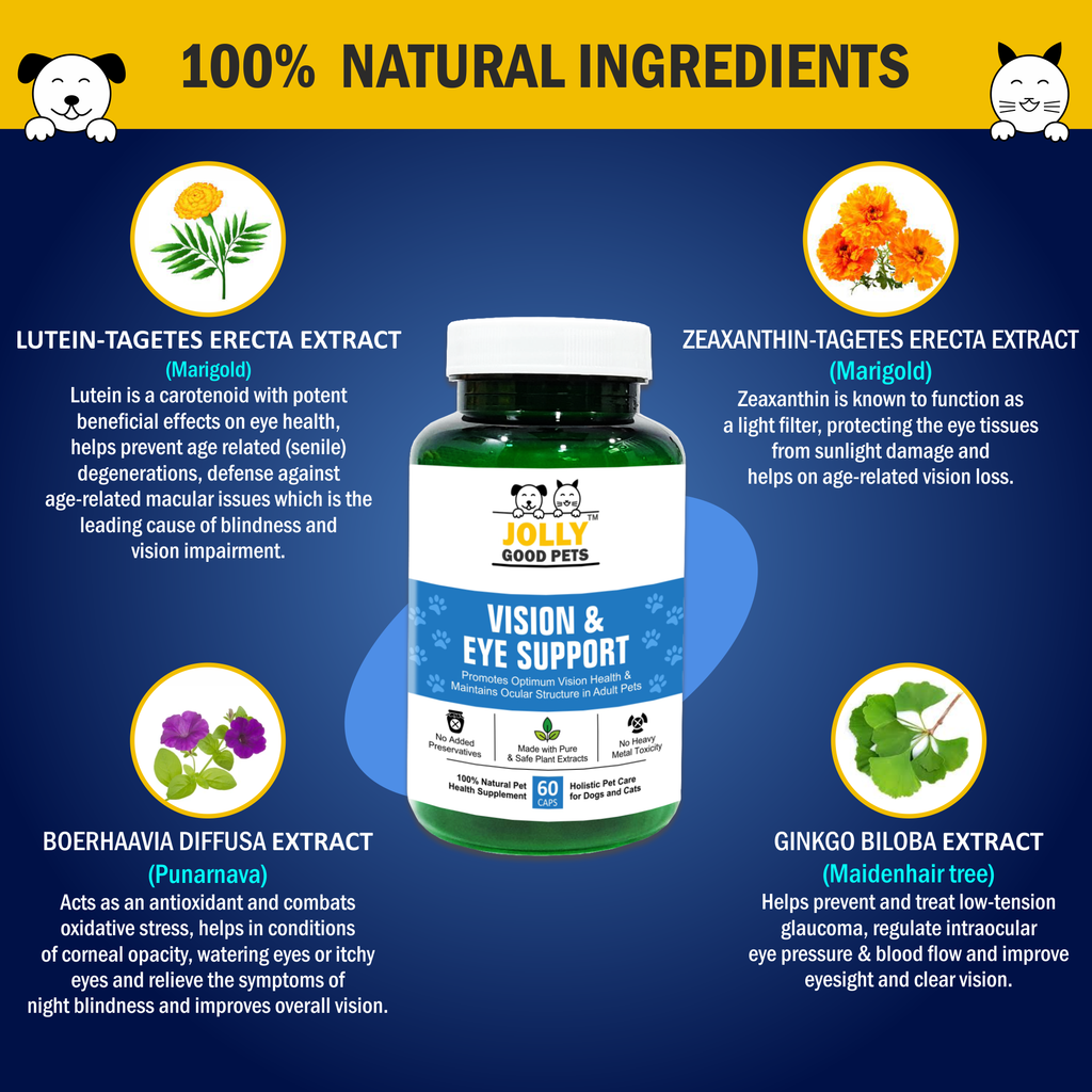 Jolly Good Pets Vision & Eye Support Supplement for Dogs & Cats I 60 C