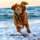 fetch toys for dogs