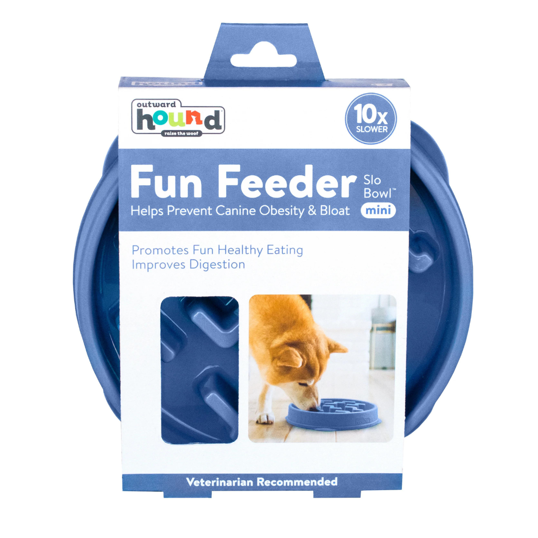 Fun feeder top slow bowl