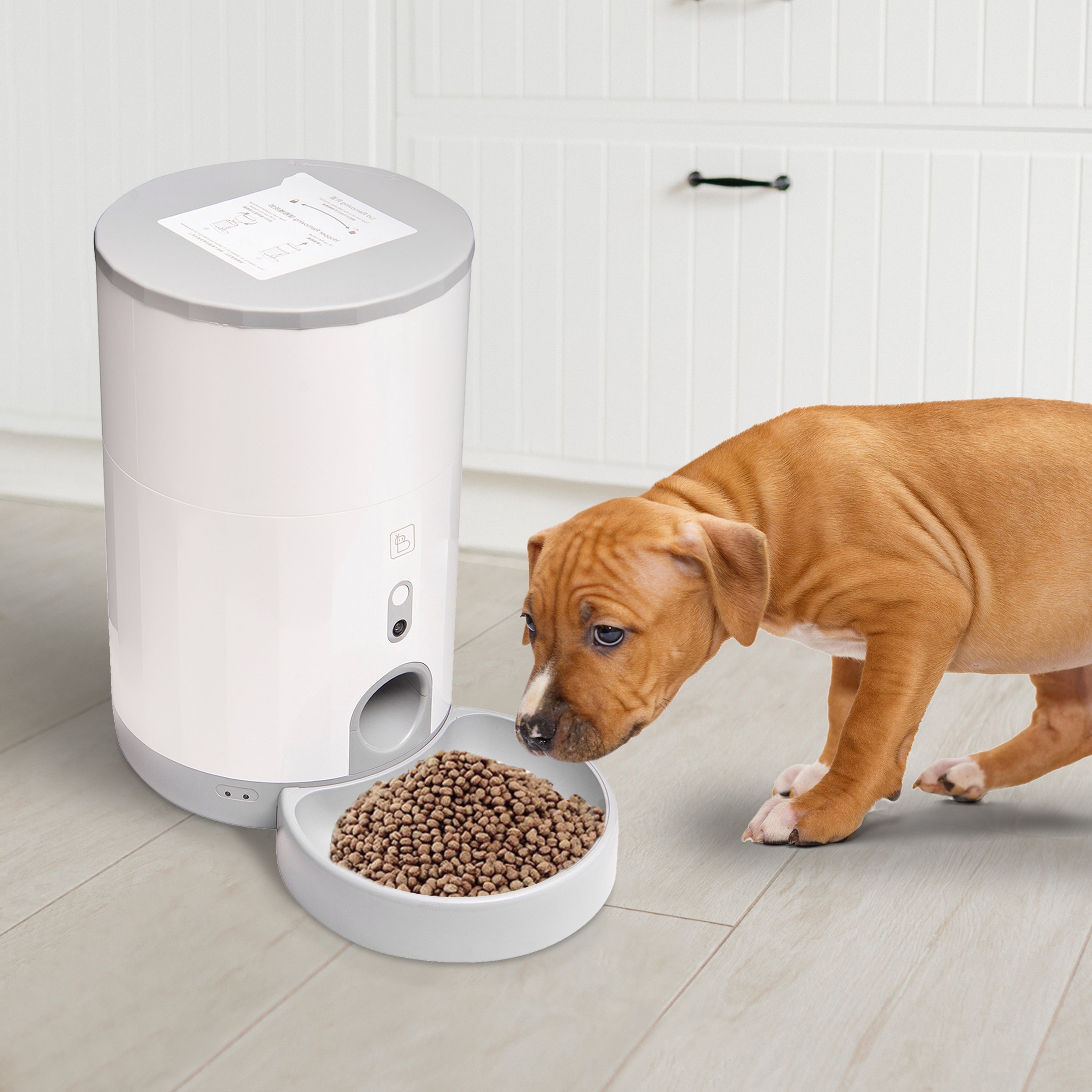 Baybot Pet Feeder (Dry) - Automatic Food Dispenser For Dog And Cat | Smart, WiFi Connected