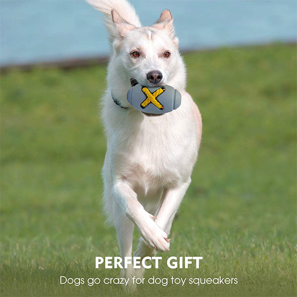 gifting options for dogs