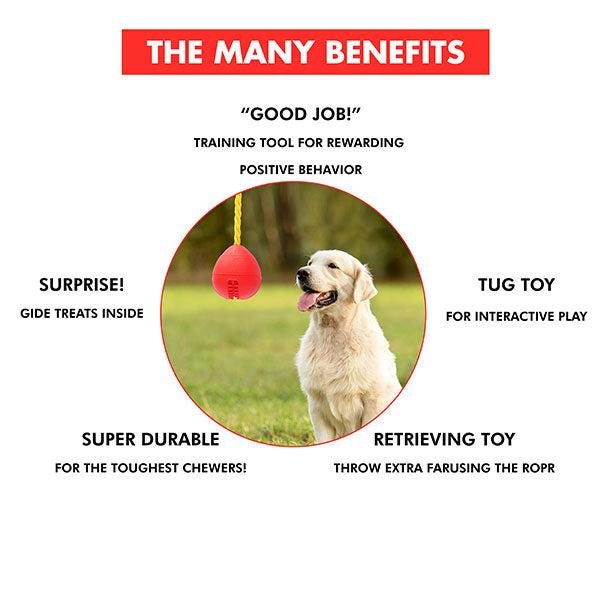 features of Bomb Durable Dog Treat toy - Red