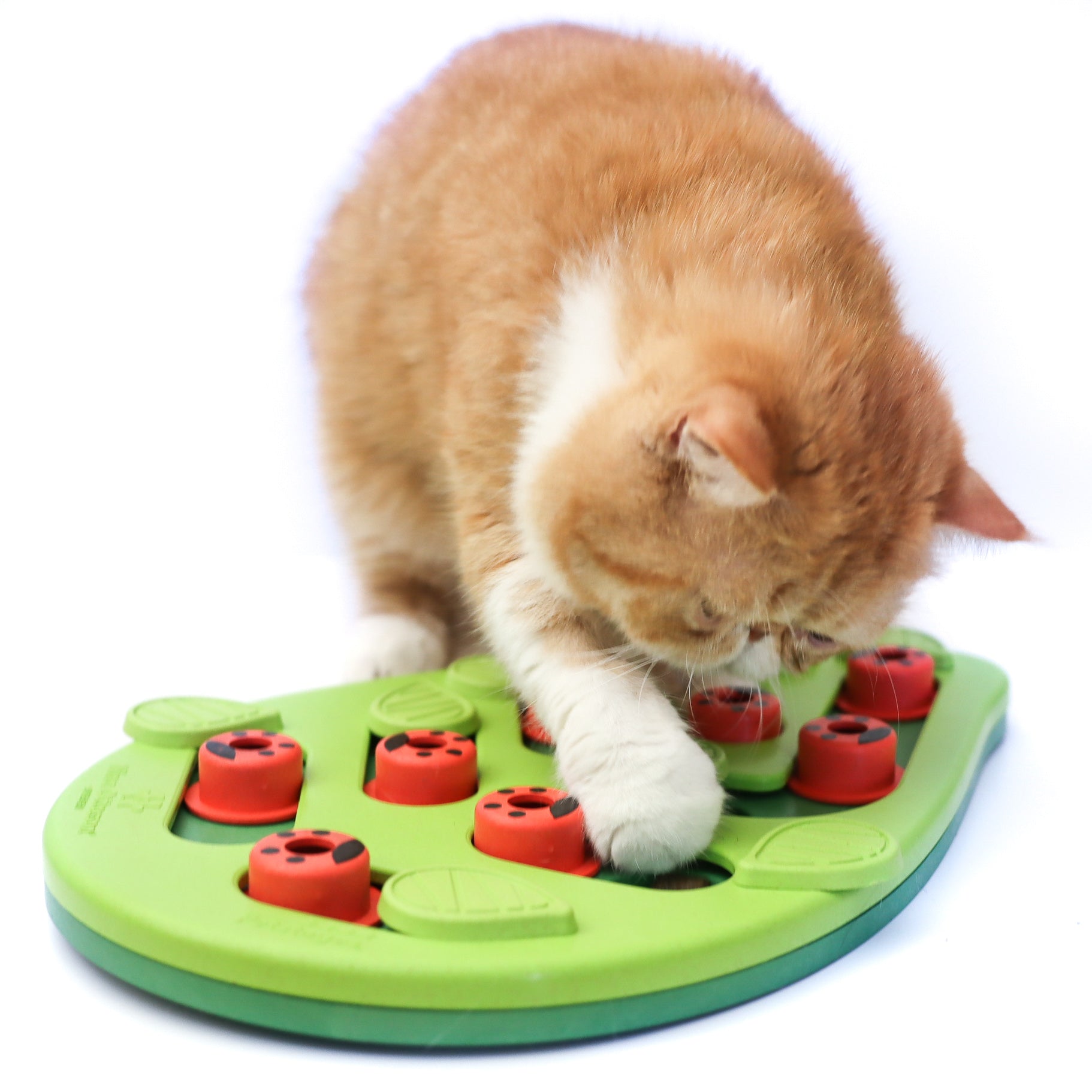 Petstages Melon Madness Puzzle & Play Cat Game, Pink, One-Size