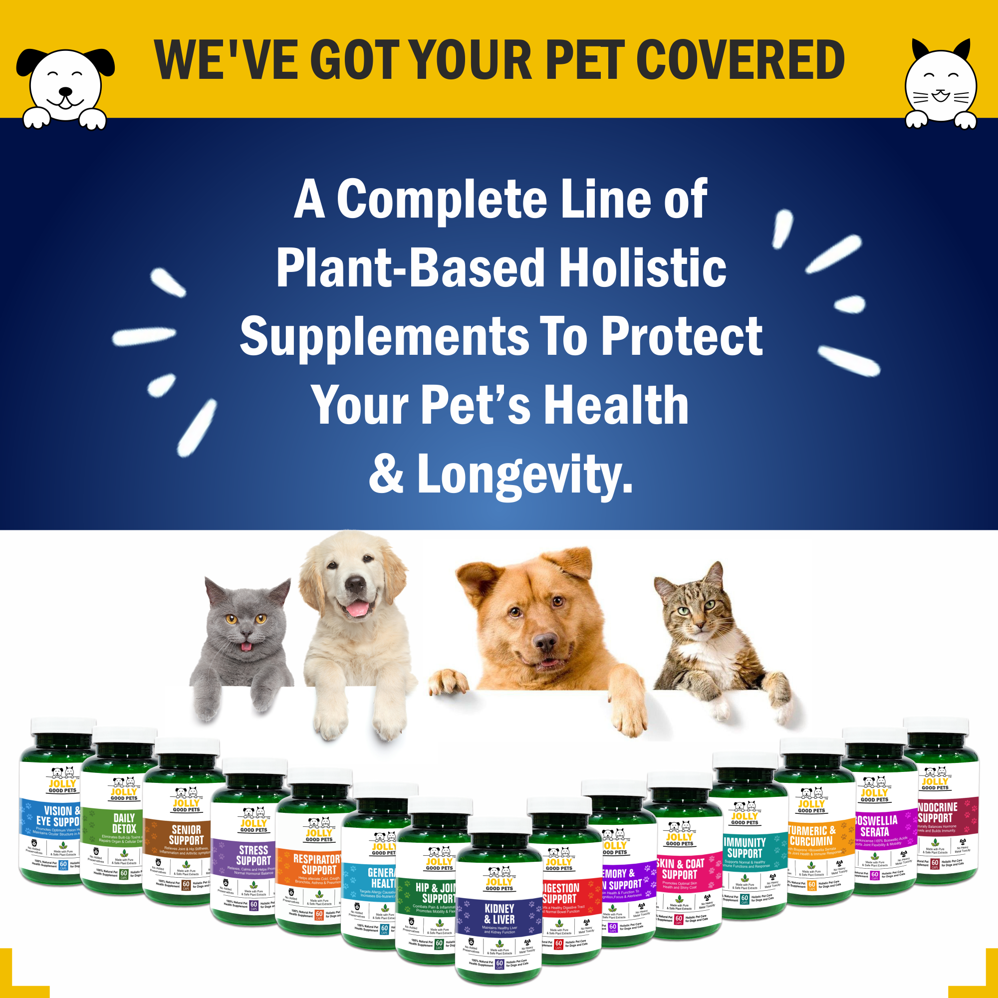 Jolly Good Pets Skin & Coat Support Supplement for Dogs & Cats I 60 Capsules