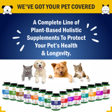 Jolly Good Pets Skin & Coat Support Supplement for Dogs & Cats I 60 Capsules