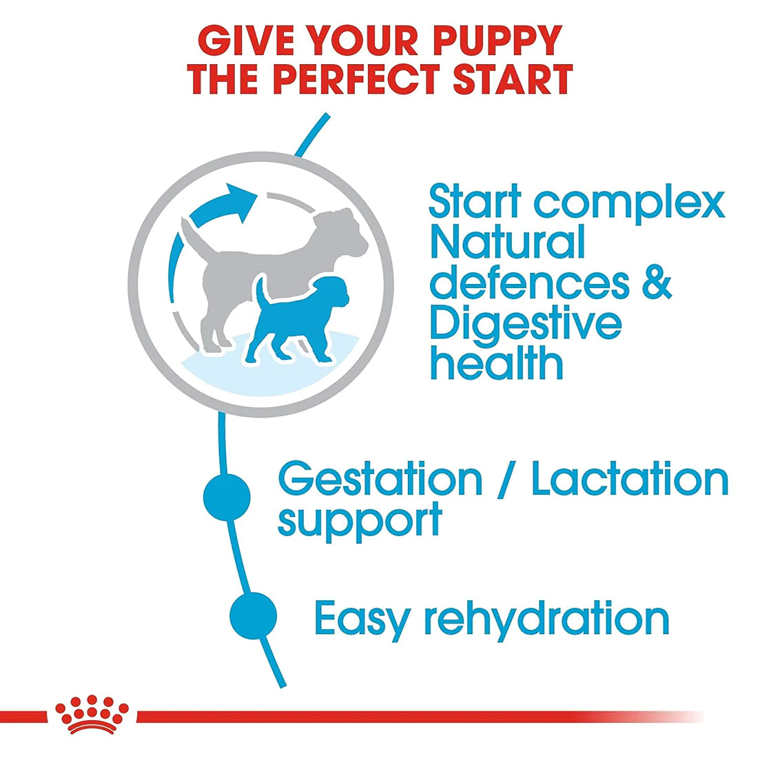 Royal Canin - Mini Starter Mother & Puppy Dry Food