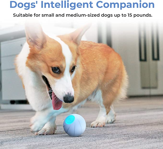 Smart Dog Ball Toy 
