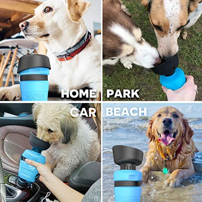 Pawsindia Pet Water Bottle for Dogs