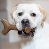 Benebone's Maplestick Stick Durable Dog Chew (Maple Wood Flavor)