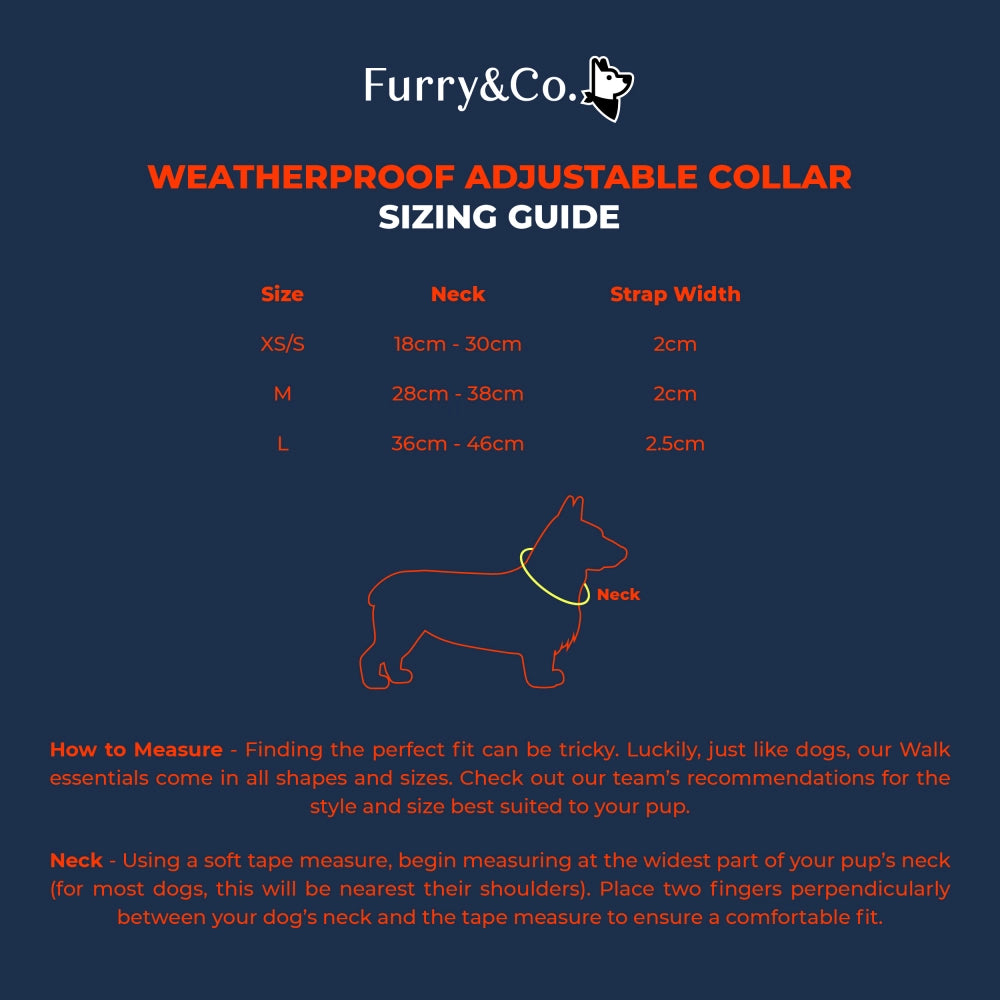 Weatherproof Collar– Lilac