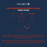 Weatherproof Collar– Lilac