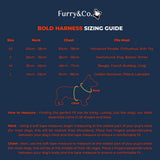 Bold Harness - Everest