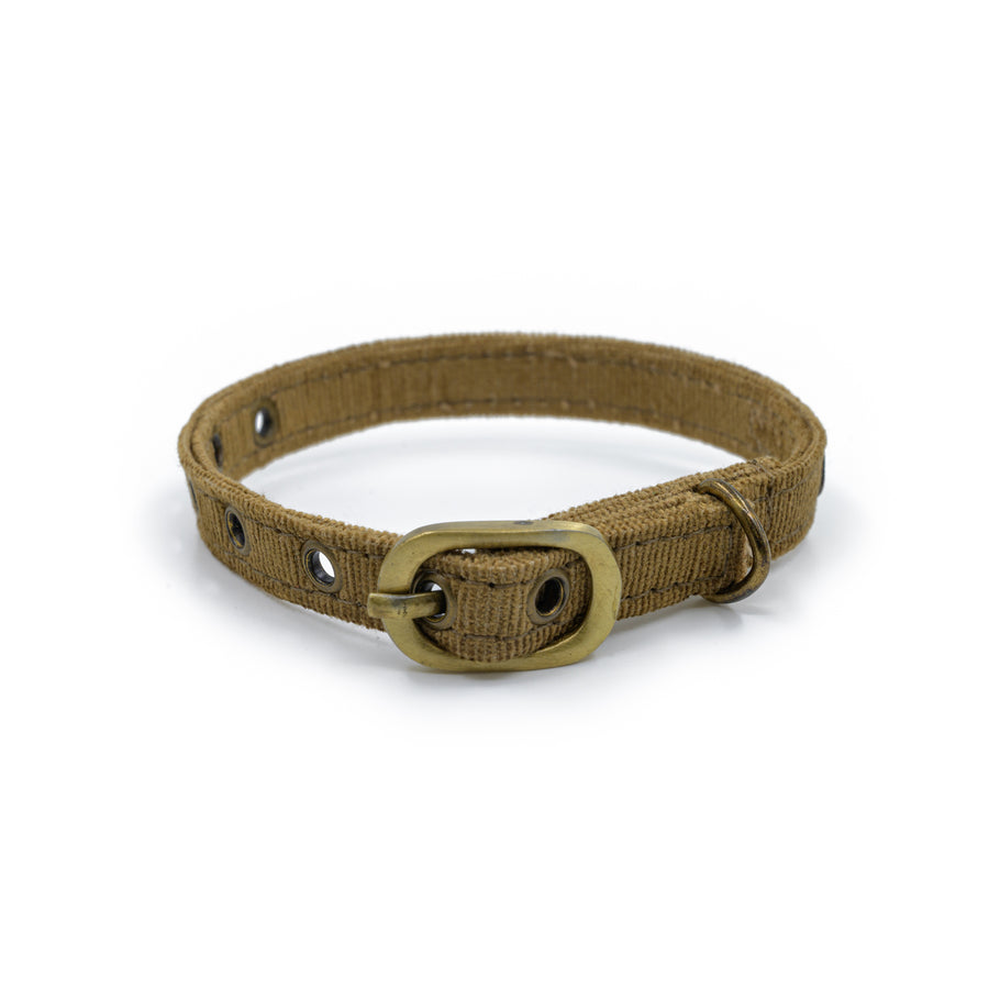 Buy Cat Products Online Cat Toys, Cat Food & more Pawsindia